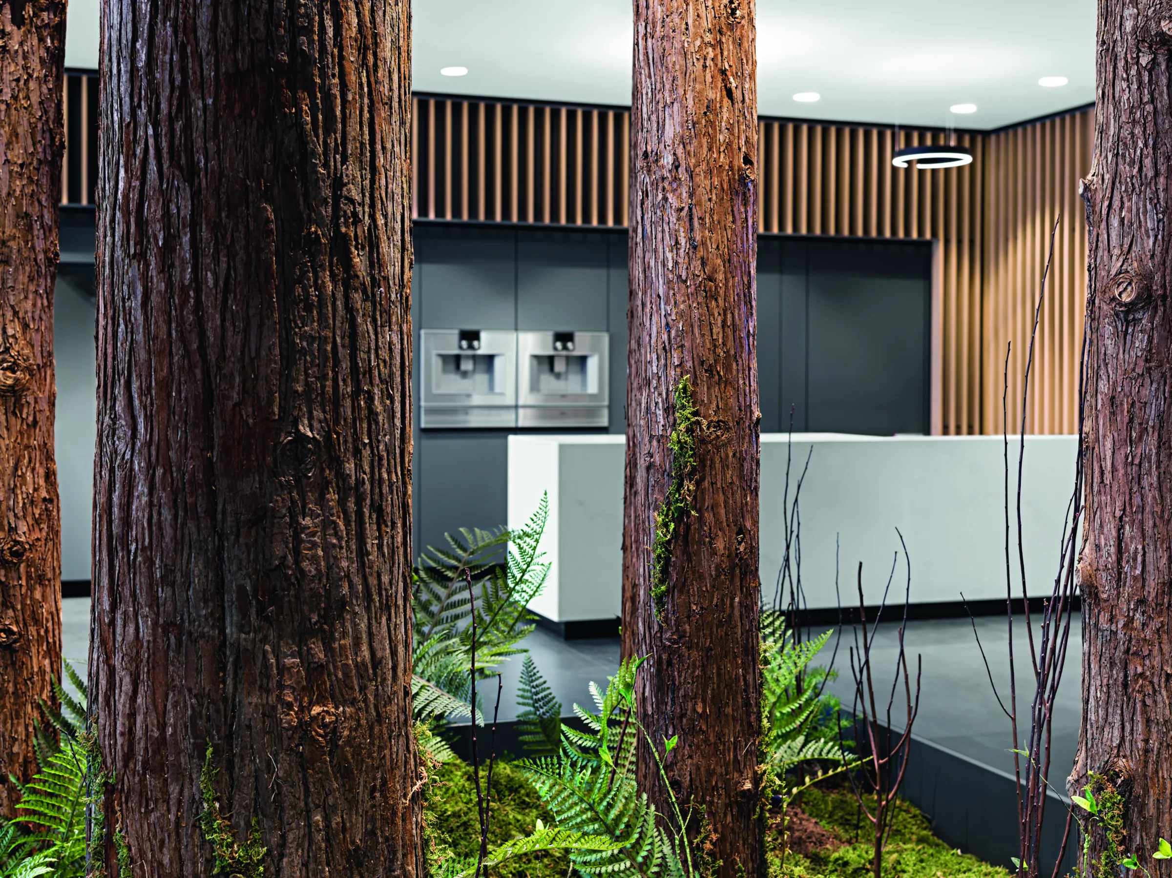 Showroom, Chengdu 2018, Innenausbau der Schreinerei Schurig
